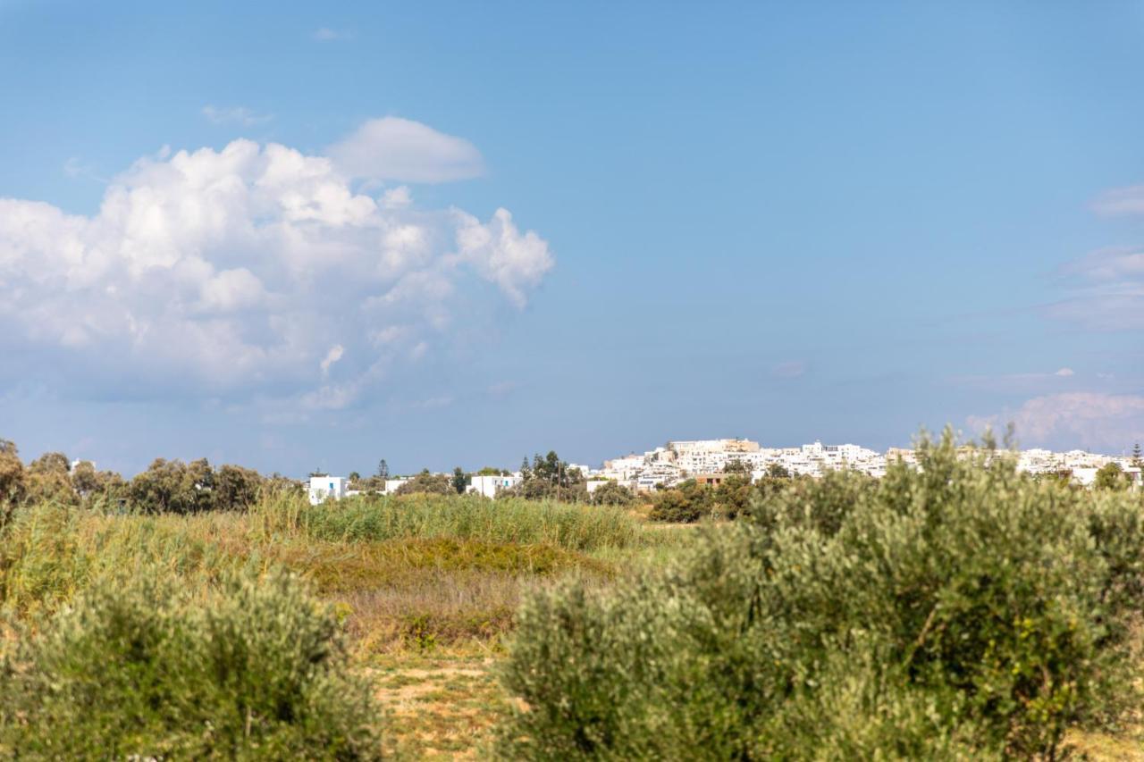 Surfer Paradise Naxos City Exteriér fotografie